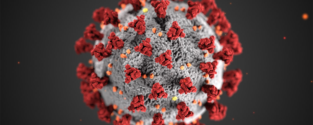 Eine computergenerierte Ansicht des 2019 Novel Coronavirus (2019-nCoV), auch als SARS-CoV-2 bekannt Center for Disease Control and Preventation/Alissa Eckert, MS; Dan Higgins, MAM [Public Domain]