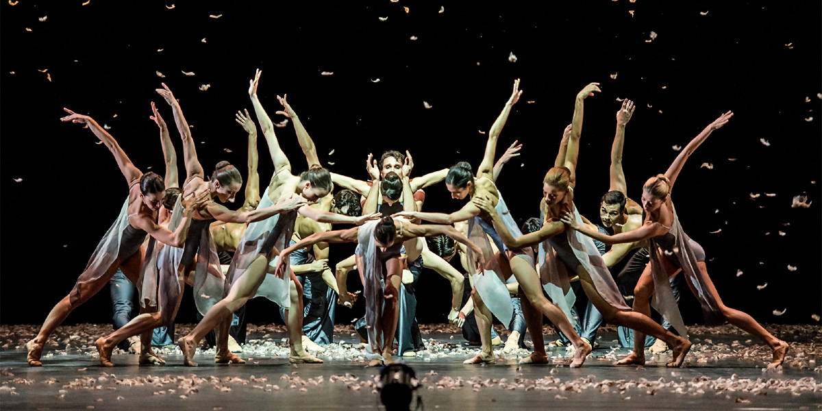 Edwaard Liang: »Murmuration« © Wiener Staatsballett/Ashley Taylor