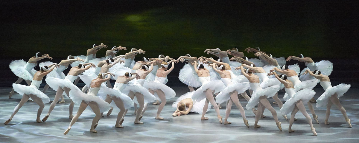 »Schwanensee«, 3. Akt: Das corps de ballet des Wiener Staatsballetts © Wiener Staatsballett/Ashley Taylor